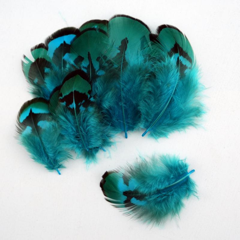 Natural DIY Pheasant Feathers  - đánh giá và giá Wedding Supply Bulk